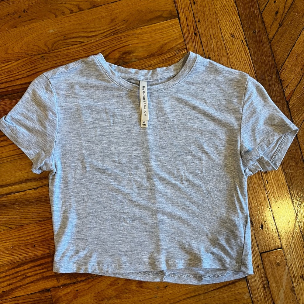 Aritzia Babaton Heather Gray Cropped Short Sleeved Tee